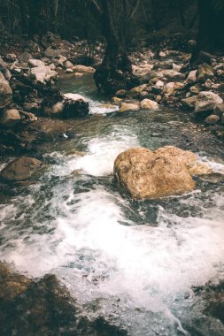 Dağ dere ve büyük taşlar. Ormandaki fırtınalı creek yakın çekim. Nehir kıyısında büyük ıslak taşlar. Küçük şelale.