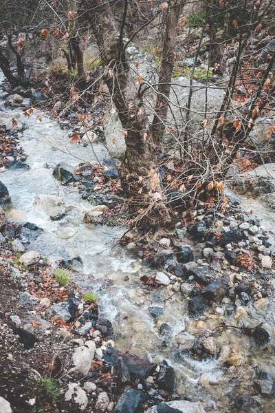 Proudu Horách Velké Kameny Břehu Horské Řeky Tok Vody Mokré — Stock fotografie