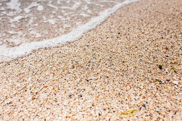 Costa Del Mare Onda Lunghe Conchiglie Oceano Costa Vicino — Foto Stock