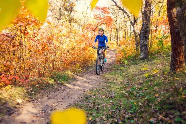Ormanda bisiklet. Kız bir orman iz üzerinde bisiklet sürmek. Kadın parkta bisiklet sürme. Bisiklet touring. Doğal yerlere seyahat. Sonbahar ağaçlar.