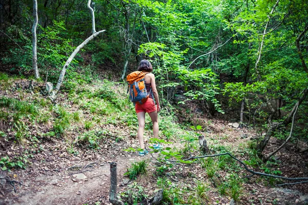 Chica Camina Por Bosque Una Joven Con Una Mochila Viaja — Foto de Stock