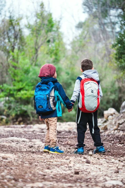 Twee Jongens Met Rugzakken Lopen Langs Een Bospad Kinderen Lopen — Stockfoto