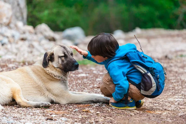 Amitié animal et enfant . — Photo