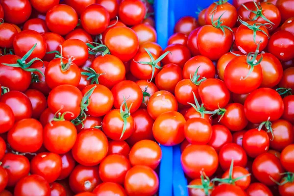 Tomates maduros no balcão . — Fotografia de Stock