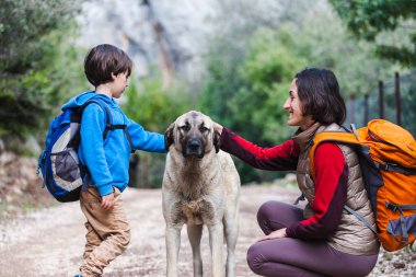Bir çocuk anne ve parkta köpek yürüyor. 