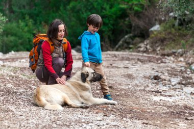 Bir çocuk anne ve parkta köpek yürüyor. 