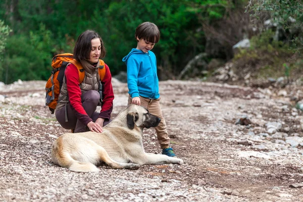 Bir çocuk anne ve parkta köpek yürüyor. 