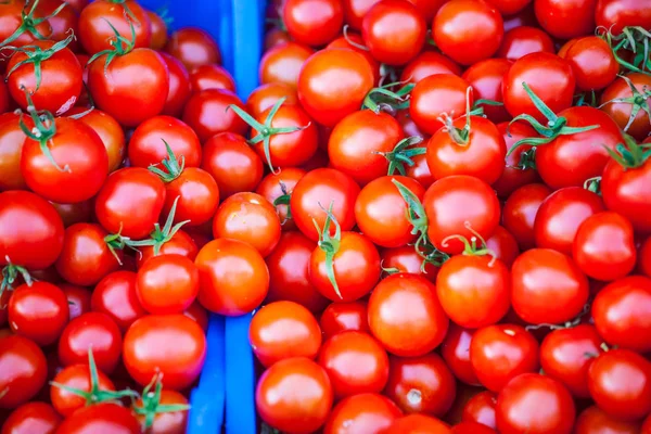 Tomates maduros no balcão . — Fotografia de Stock