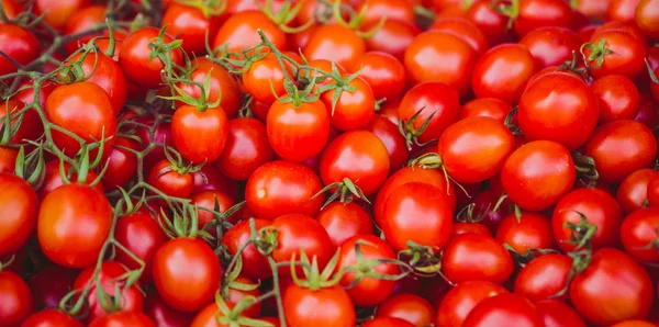 Reife Tomaten auf dem Tresen. — Stockfoto