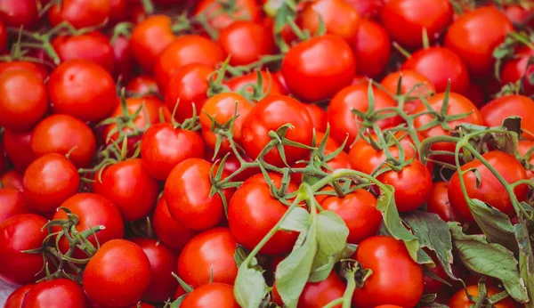Dojrzałe pomidory na ladzie. — Zdjęcie stockowe