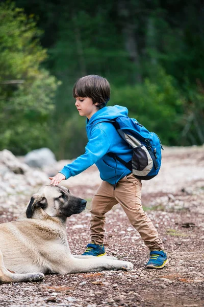 Vriendschap huisdier en kind. — Stockfoto