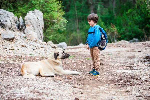 Vriendschap huisdier en kind. — Stockfoto