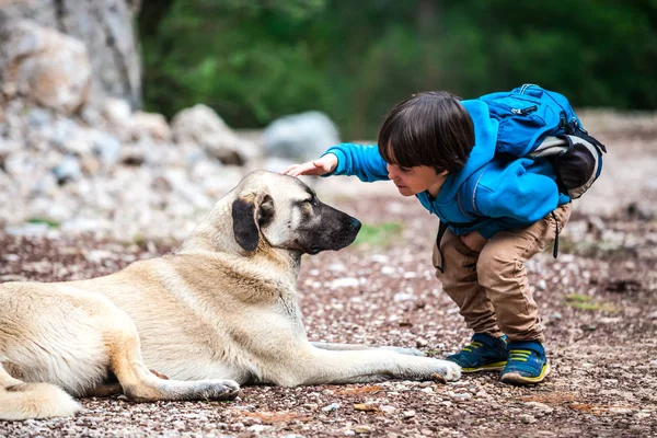 Barátság kisállat és gyermek. — Stock Fotó