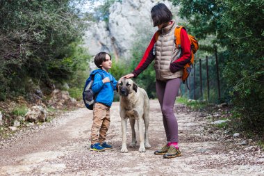 Bir çocuk anne ve parkta köpek yürüyor. 