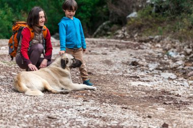 Bir çocuk anne ve parkta köpek yürüyor. 