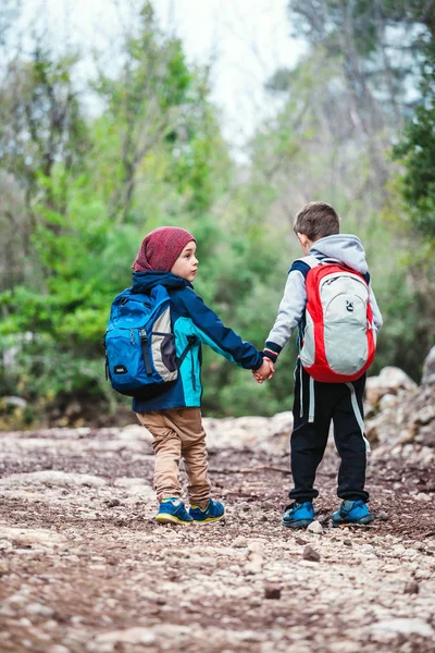 Två pojkar med rygg säckar går längs en skogs stig. — Stockfoto