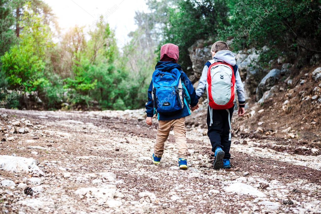 Two boys with backpacks are walking along a forest path.
