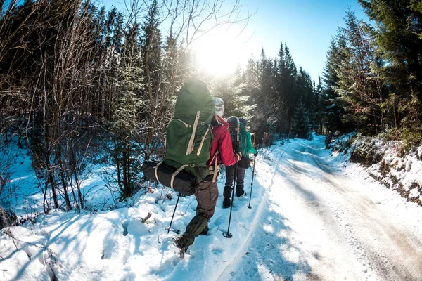 Les filles dans les montagnes . — Photo