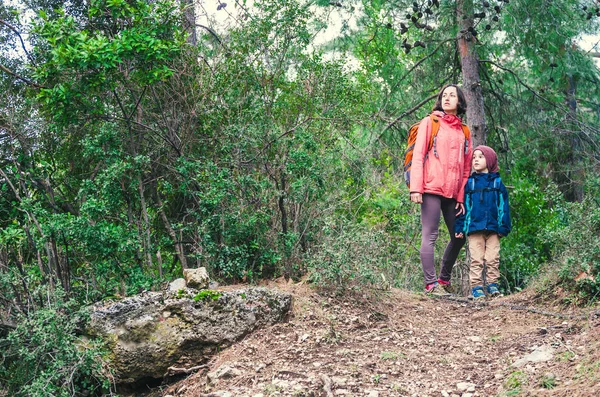 Orman yoluyla oğluyla bir kadın yürüyor. — Stok fotoğraf