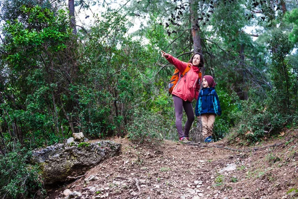 Uma mulher caminha com seu filho pela floresta . — Fotografia de Stock