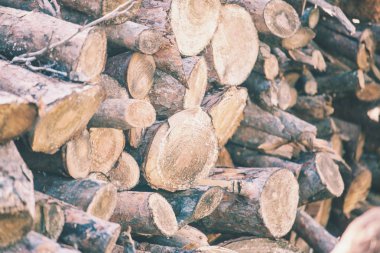 yakacak odun yığını. 