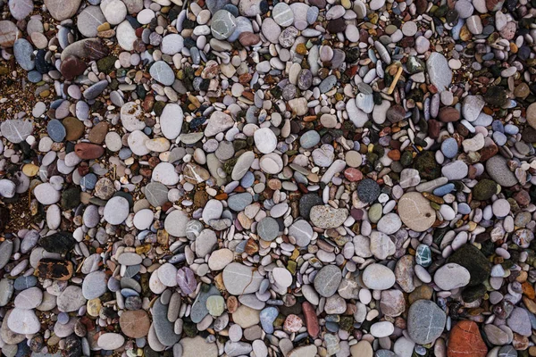 Small sea pebbles. — Stock Photo, Image