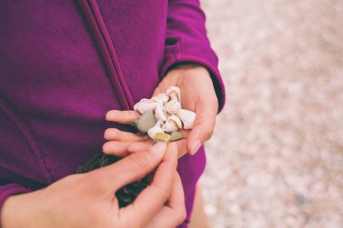 The girl collects sea stones and shells.