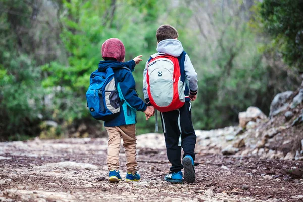 Δύο αγόρια με σακίδια περπατούν κατά μήκος ενός μονοπατιού του δάσους. — Φωτογραφία Αρχείου