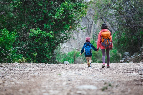 Una mujer camina con su hijo por el bosque . —  Fotos de Stock