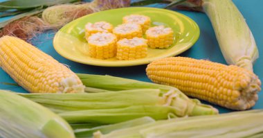 Turkuaz bir arka planda Mısır ile bir plaka.