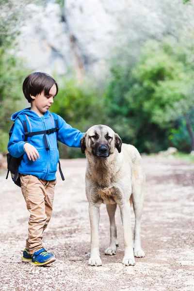 Vriendschap huisdier en kind. — Stockfoto