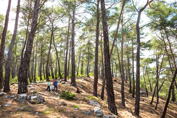 Μια Γυναίκα Περπατά Γιο Της Μέσα Στο Δάσος Αγόρι Μητέρα — Φωτογραφία Αρχείου