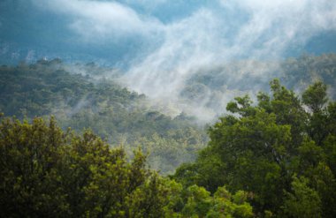 Dağ vadisinde alçak bulutlar. Yağmur sırasında bulutlar dağlara düştü. Türkiye 'nin pitoresk doğası.