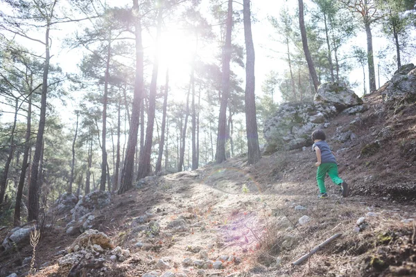 Garçon Court Long Sentier Montagne Enfant Marche Dans Forêt Enfant — Photo