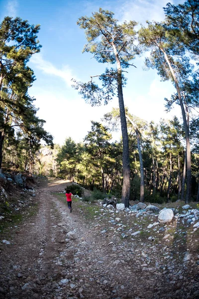 Uma Mulher Corre Longo Trilho Montanha Runner Está Treinar Floresta — Fotografia de Stock