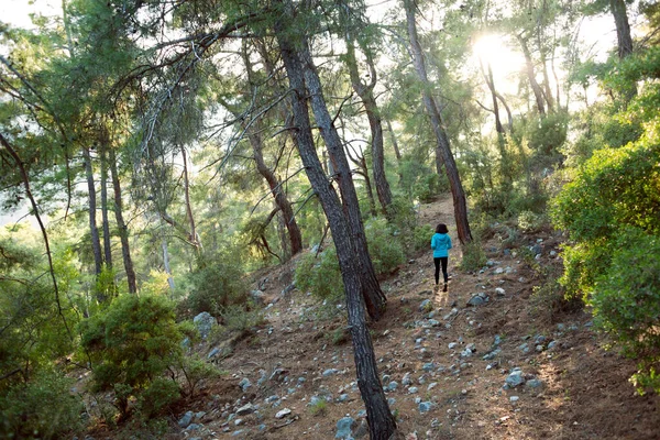 A woman runs along a mountain trail. Runner is training in the forest. Girl jogging in the park. Skyrunning.