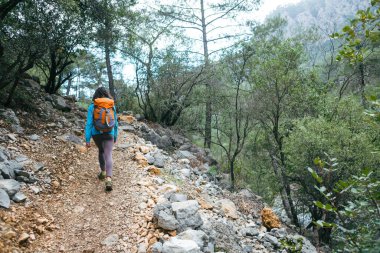 Sırt çantalı bir kız dağ yolunda gidiyor. Bir kadın resimli yerlerde tek başına seyahat eder. Bir kadın ormanda tek başına yürüyor..