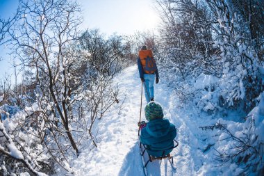 Bir kadın bir çocukla kızak çekiyor. Anne oğluyla karlı bir ormanda yürüyor. Parkta kış yürüyüşü. Oğlan bir kızağa biniyor. Çocuklarla kış aktiviteleri.