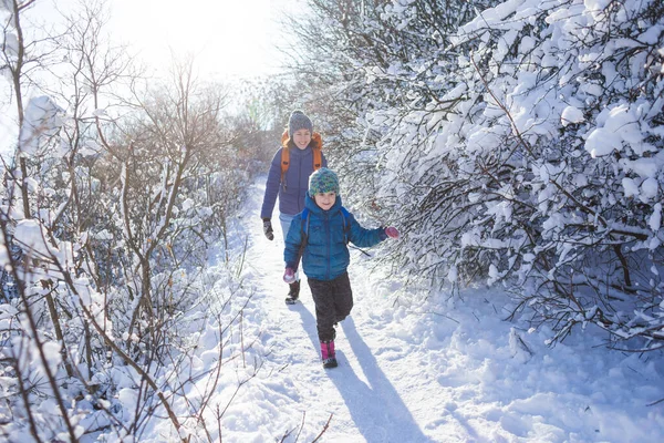 Çocuk annesinden kaçıyor. Bir kadın kış parkında bir çocukla yürüyor. Çocuk annesiyle vakit geçirir. Anne sevgisi. Karlı ormanda yürü. Aile yürüyüşü.