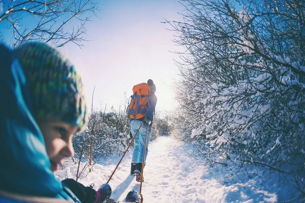 女は子供を連れてそりを引く 母は息子と一緒に雪の森を歩く 公園の冬の散歩 少年はそりに乗っている 子供たちと冬の活動 魚眼レンズ — ストック写真