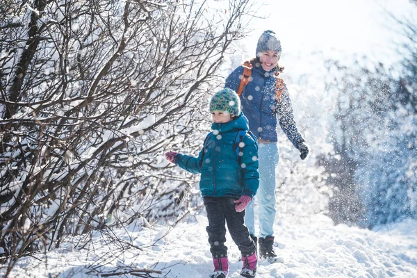 Bir çocuk annesiyle kartopu oynuyor. Karlı bir ormanda bir kadın oğluyla oynuyor. Kış eğlencesi Bir kadın çocuğuyla birlikte kış parkında yürüyor..