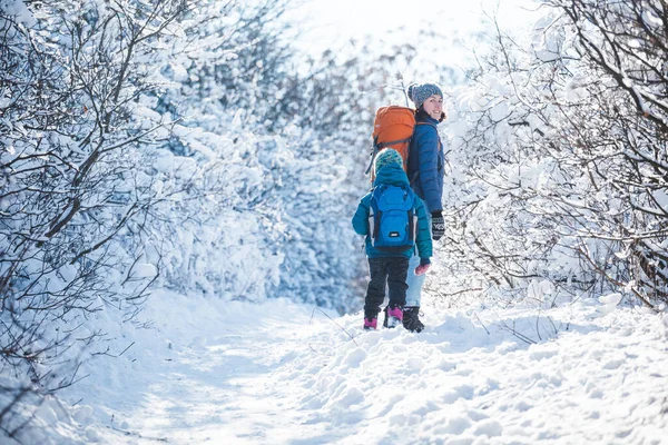 Çocuklu bir kadın, dağlarda kış yürüyüşüne çıkmış. Çocuk soğuk mevsimde annesiyle seyahat eder. Sırt çantalı bir çocuk, annesiyle karlı bir parkta yürüyor. Çocuklarla yolculuk. Kış gezisi.