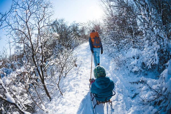 Bir kadın bir çocukla kızak çekiyor. Anne oğluyla karlı bir ormanda yürüyor. Parkta kış yürüyüşü. Oğlan bir kızağa biniyor. Çocuklarla kış aktiviteleri.