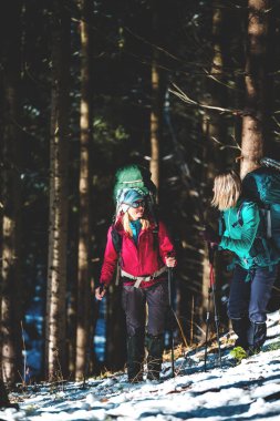 Kış yürüyüşünde iki kadın. Yürüyüş direkleri olan kızlar karla kaplı bir dağ yolundalar. Sırt çantalı ve kar ayakkabılı kızlar birlikte seyahat eder. Dostlar güneşli bir günde yürür köknar ormanında.