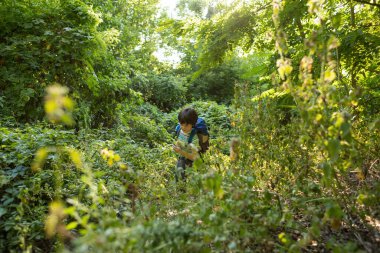 Sırt çantalı bir çocuk çayırda yürüyor, bir çocuk vahşi hayatı keşfediyor, bir çocuk ağaçların arasında tek başına duruyor, bir çocuğun portresi..