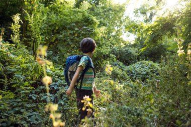 Sırt çantalı bir çocuk çayırda yürüyor, bir çocuk vahşi hayatı keşfediyor, bir çocuk ağaçların arasında tek başına duruyor, bir çocuğun portresi..