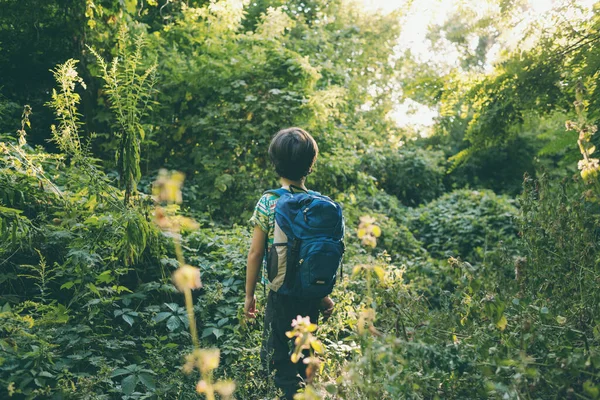 Niño Con Una Mochila Camina Por Prado Niño Explora Vida —  Fotos de Stock