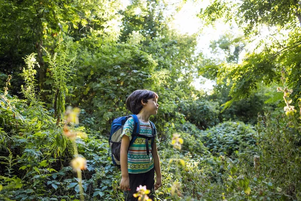 Niño Con Una Mochila Camina Por Bosque Niño Explora Vida — Foto de Stock