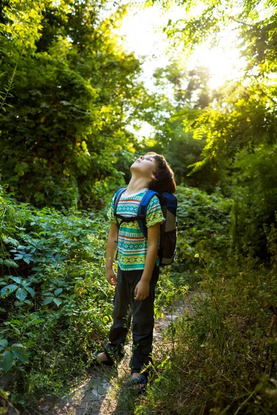 Ein Junge Mit Rucksack Spaziert Durch Den Wald Ein Kind — Stockfoto