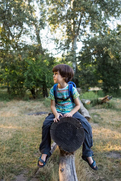 Sırt Çantalı Bir Çocuk Devrilmiş Bir Ağacın Gövdesinde Oturur Bir — Stok fotoğraf